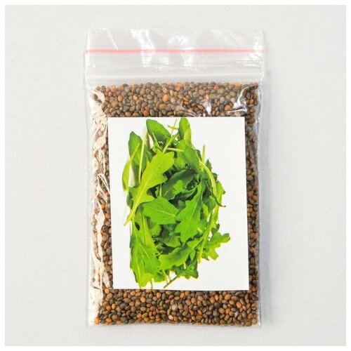 Семена Руккола культурная 