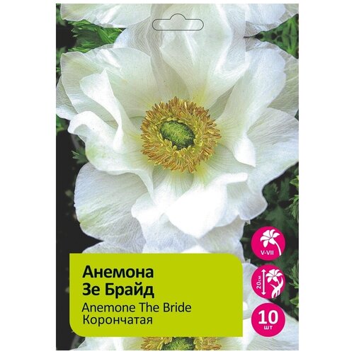 Анемона Брайд 10 шт 493₽