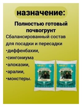 Земля Матушка универсальная для Лианы, алоказии, аралии, монстеры, диффебахии, сингониума 3л. почвогрунт Гуми, почва. Набор 2 упаковки ОЖЗ Кузнецова - фотография № 3