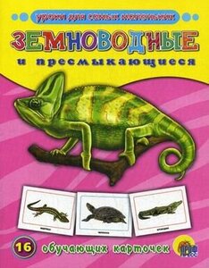 Обучающие карточки Проф-Пресс "Животный мир. Земноводные и пресмыкающиеся" 978-5-378-07279-8