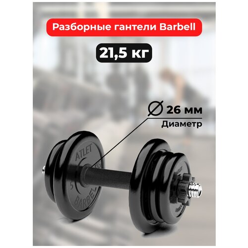 Гантель разборная MB Barbell резина черный гантель разборная barbell mb fdbm31 at9 5