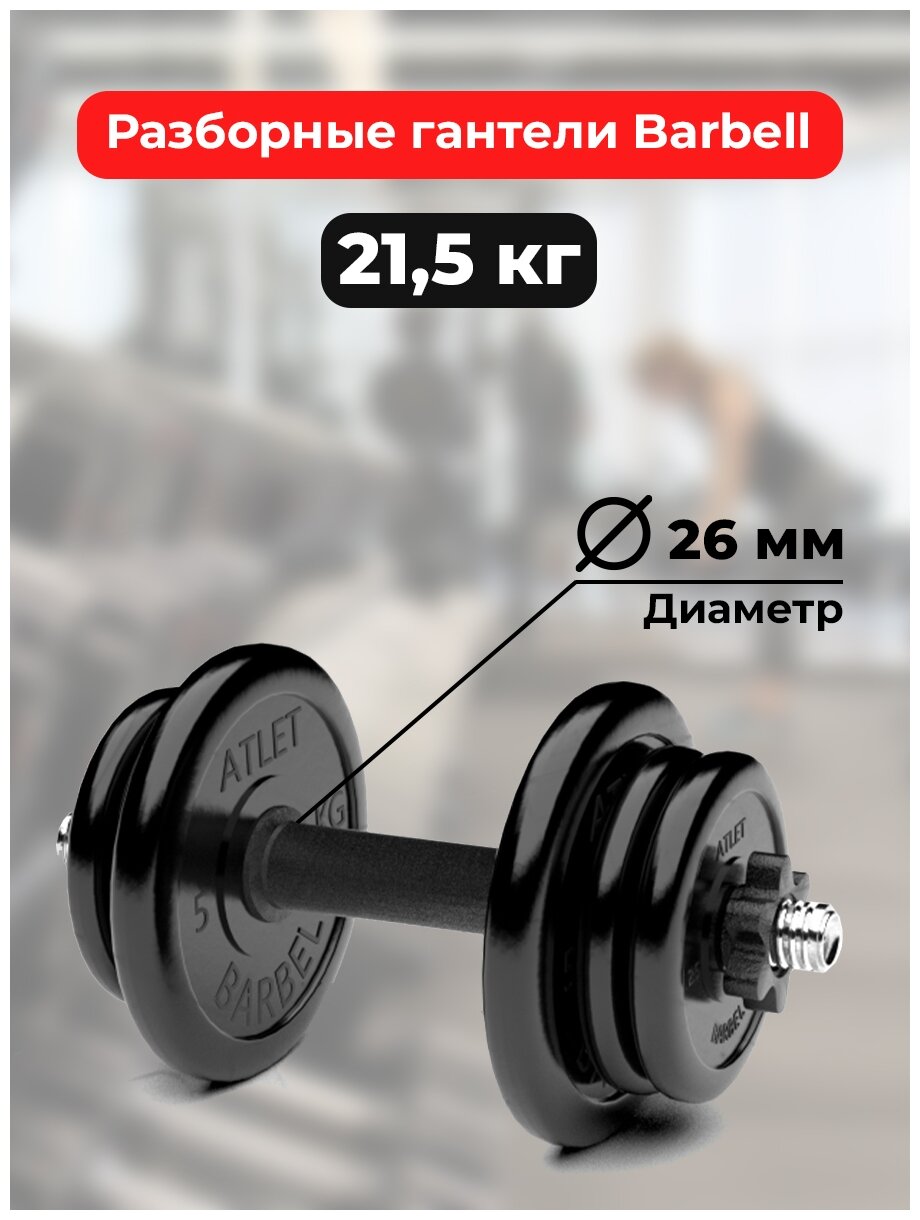 Гантель разборная MB Barbell MB-FdbM-At21.5 21.5 кг