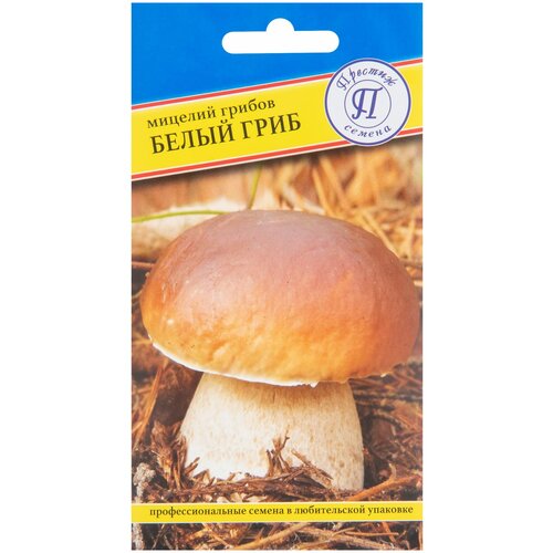 Мицелий грибов Белый гриб, 60 мл мицелий грибов поиск белый гриб 60 мл