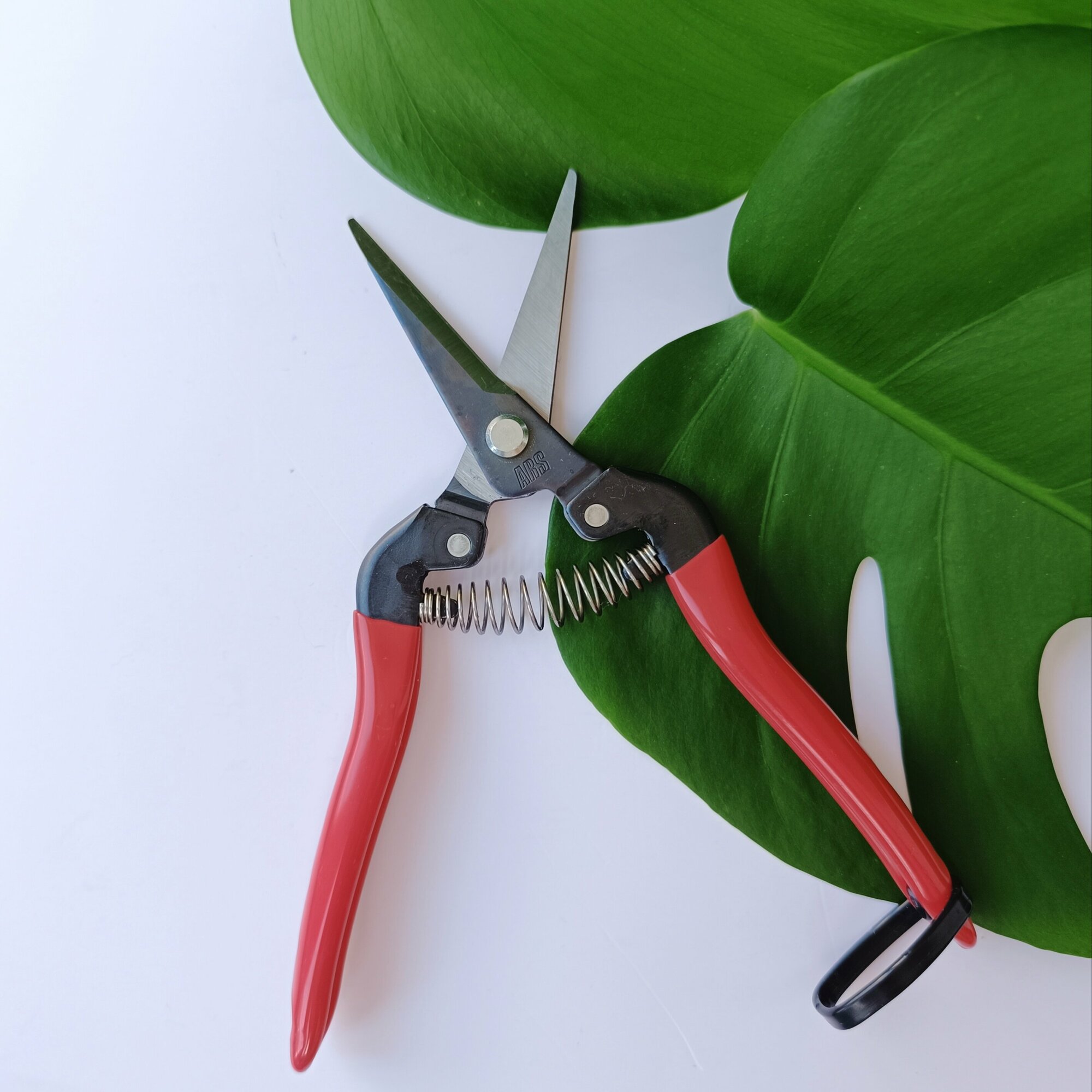 Секатор ARS 300L Fruits Pruner