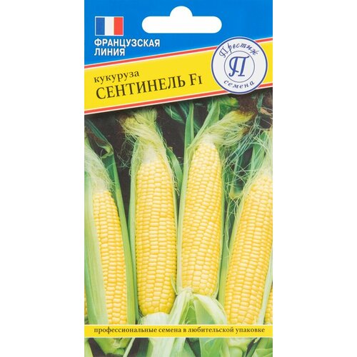 Кукуруза сладкая Сентинель F1 10 шт. семена кукуруза сл сентинель f1 10 шт