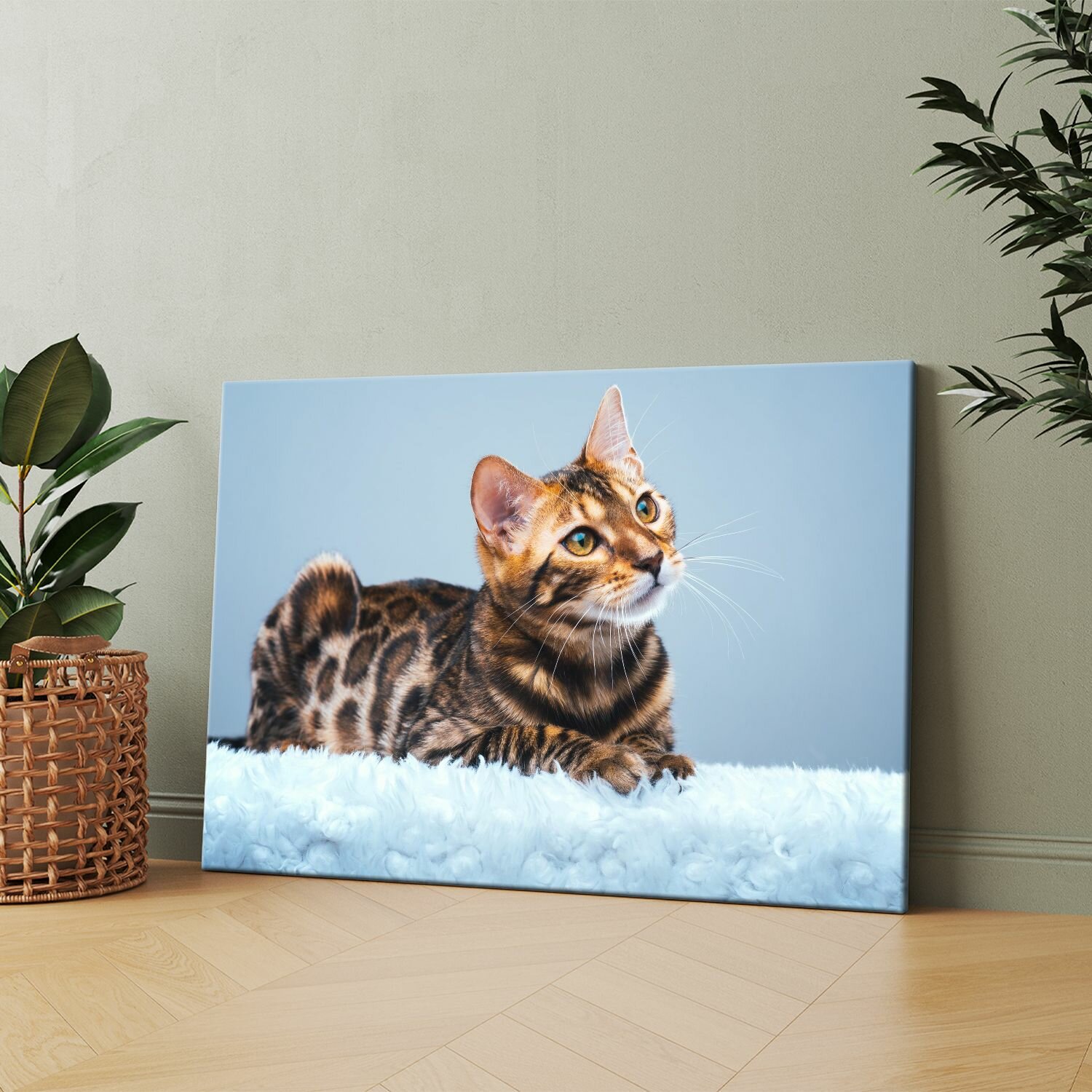 Картина на холсте (Бенгальская кошка кот) 30x40 см. Интерьерная, на стену.