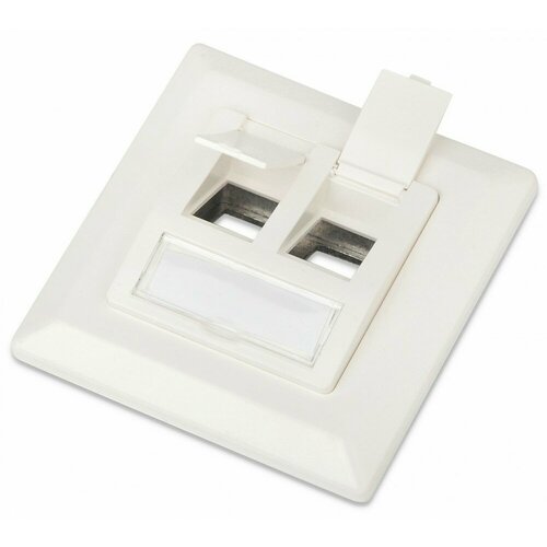Hyperline FP-GTF-2AS-WH Рамка 80х80 для двух вставок формата Keystone Jack пос размер 60 мм белая 235097 100 шт 9900₽