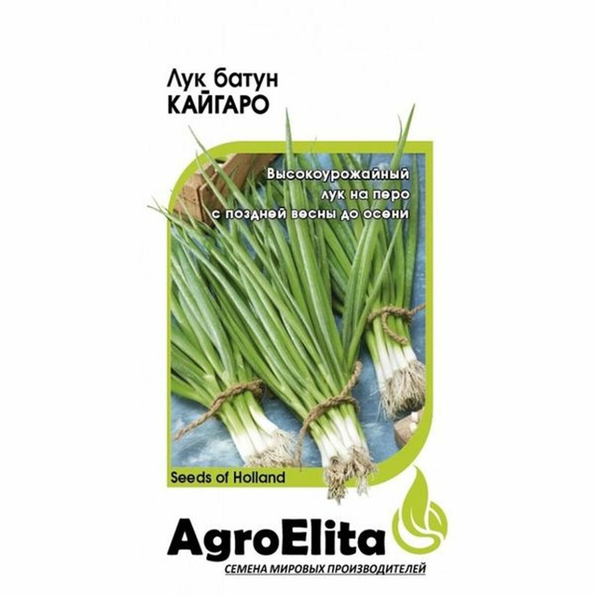 Семена Лук батун Кайгаро среднеспелый AgroElita - Энза Заден 1 пачка - 0.2г семян