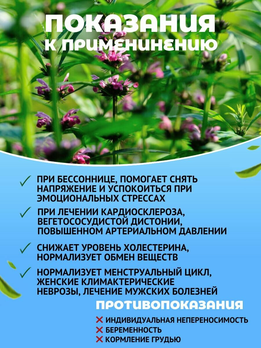 Картинки Пустырник трава сушеная Успокаивающий чай алтайский 100 г Данила травник