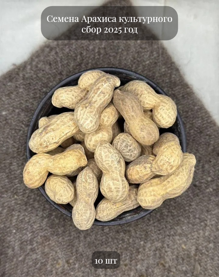 Семена Арахиса культурного 10 шт