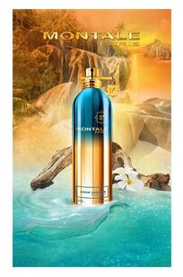 Парфюмерная вода Montale - фото №4