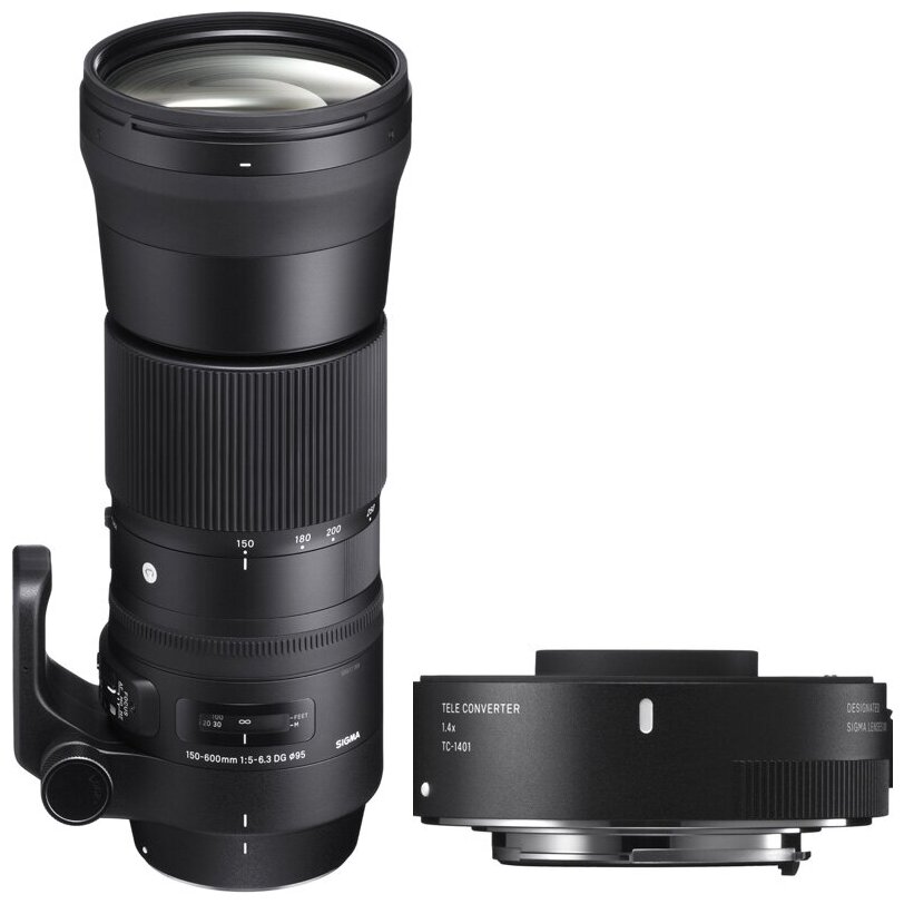  Sigma AF 150-600MM F/5-6.3 DG DN OS Sports L-MOUNT