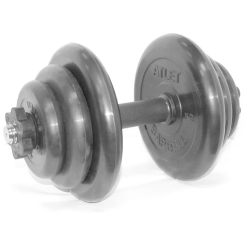 Гантель разборная 19,5 кг BARBELL MB-FdbM31-At19,5 гантель разборная barbell mb fdbm31 at21 5