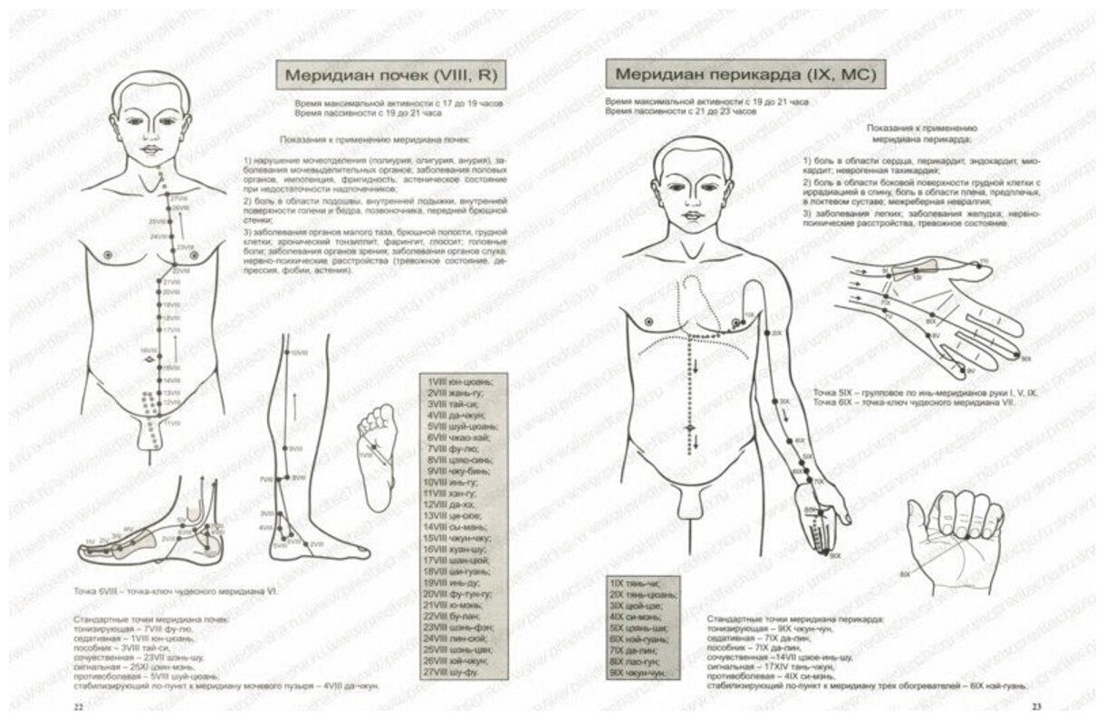 Практическое руководство по рефлексотерапии - фото №2