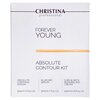Christina forever young absolute contour kit - набор forever young «совершенный контур» - изображение