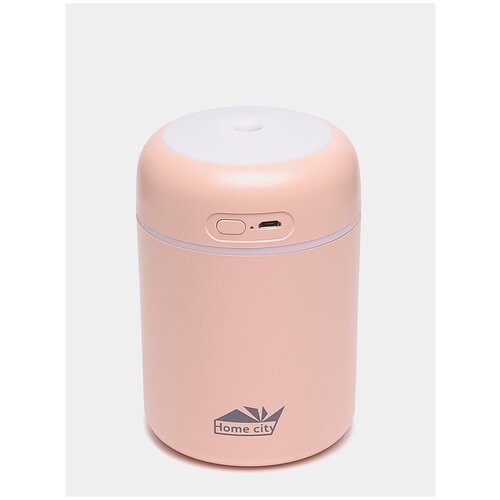 Портативный увлажнитель воздуха ультразвуковой воздухоувлажнитель ночник с Led-подсветкой для дома офиса авто серый Home Сity 300 мл 64000₽