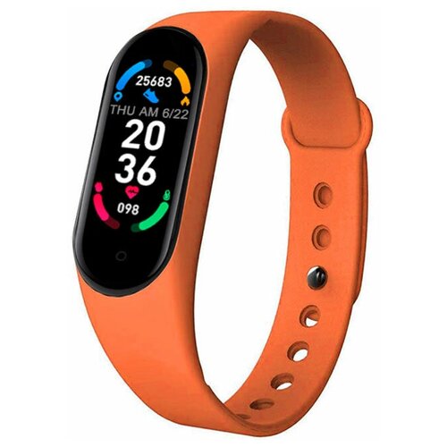 BandRate Smart BRSM66BO 187000₽