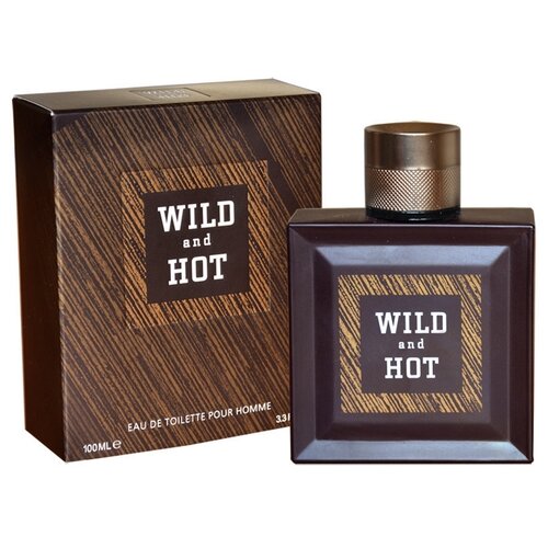 Today Parfum туалетная вода Wild And Hot, 100 мл, 381 г today parfum туалетная вода maxx man ocean 100 мл 381 г