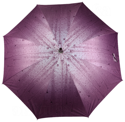 Зонт-трость ЭВРИКА подарки и удивительные вещи, полуавтомат, купол 100 см, 8 спиц, фиолетовый