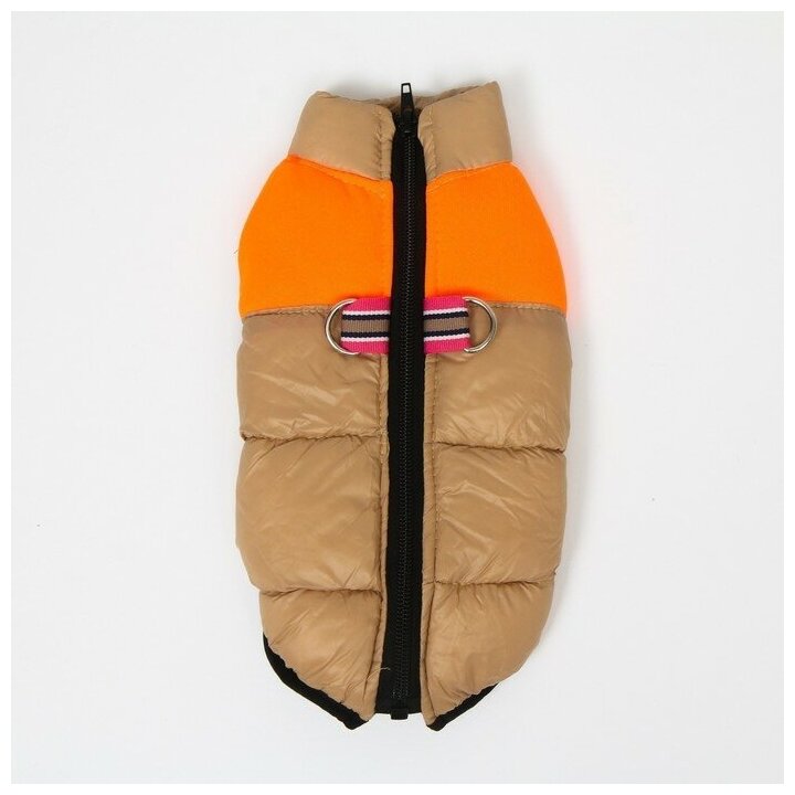 Куртка для собак на молнии, размер 8 (ДС 23 см, ОГ 30, ОШ 22 см), бежевая с оранжевым - фотография № 8