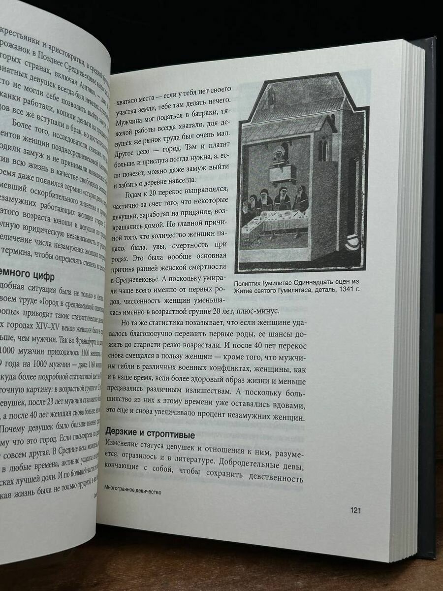 Средневековье в юбке (Мишаненкова Екатерина Александровна) - фото №17