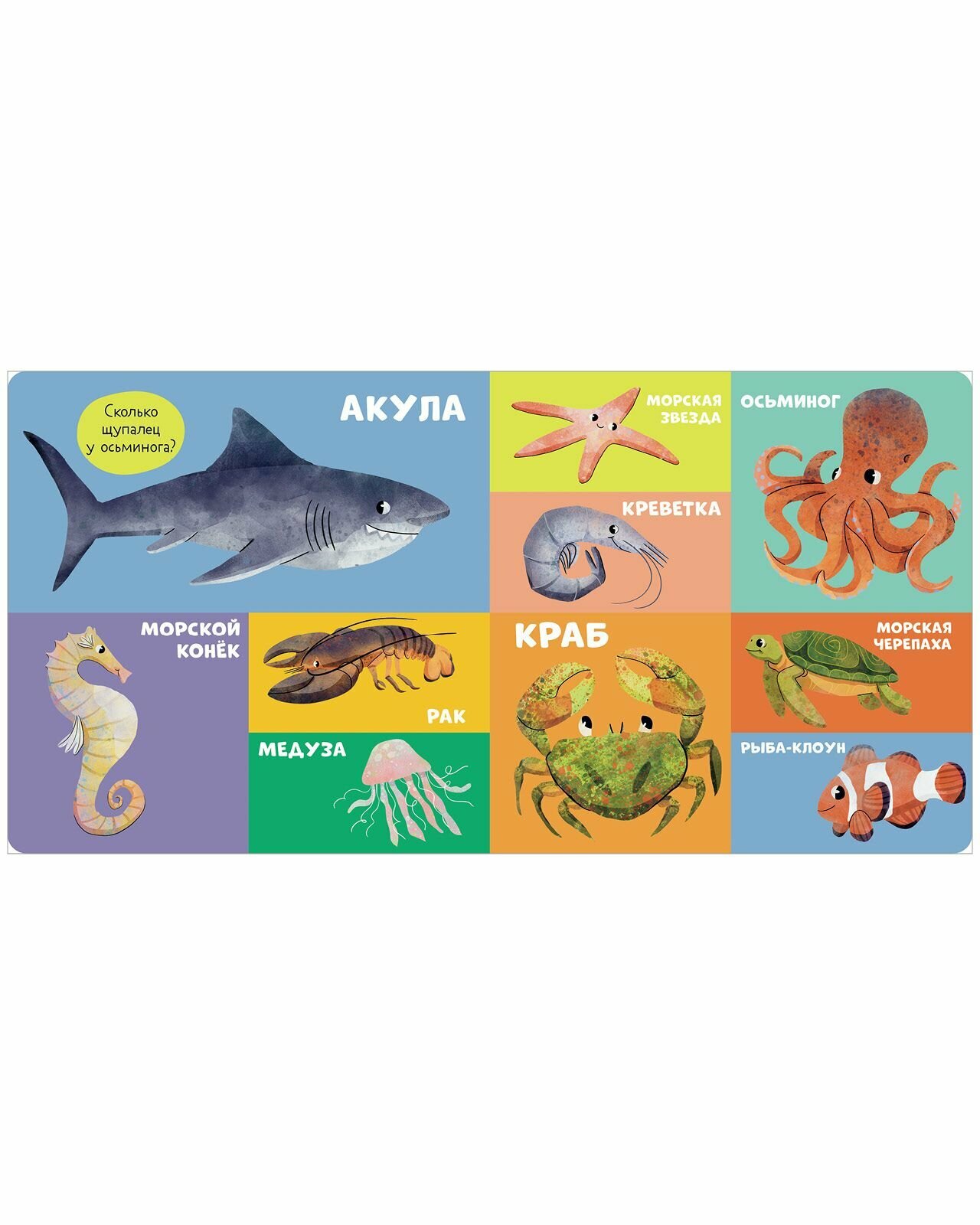 100 животных (нет автора) - фото №5