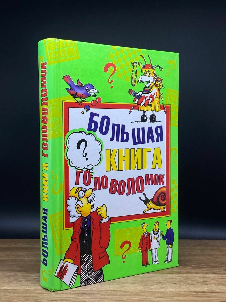 Большая книга головоломок 2007