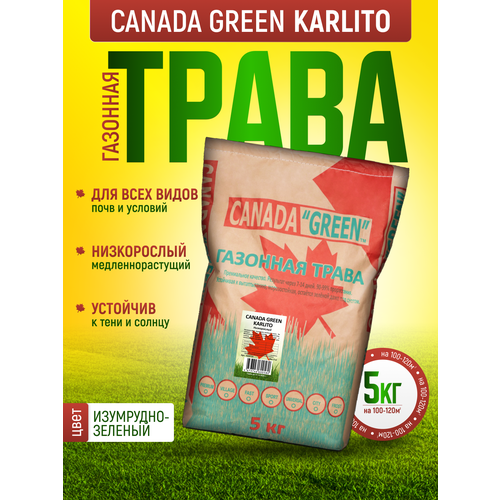 Газонная трава семена Канада Грин Низкорослая Карлито 5 кг / Canada Green Karlito 5 кг / мятлик, овсяница