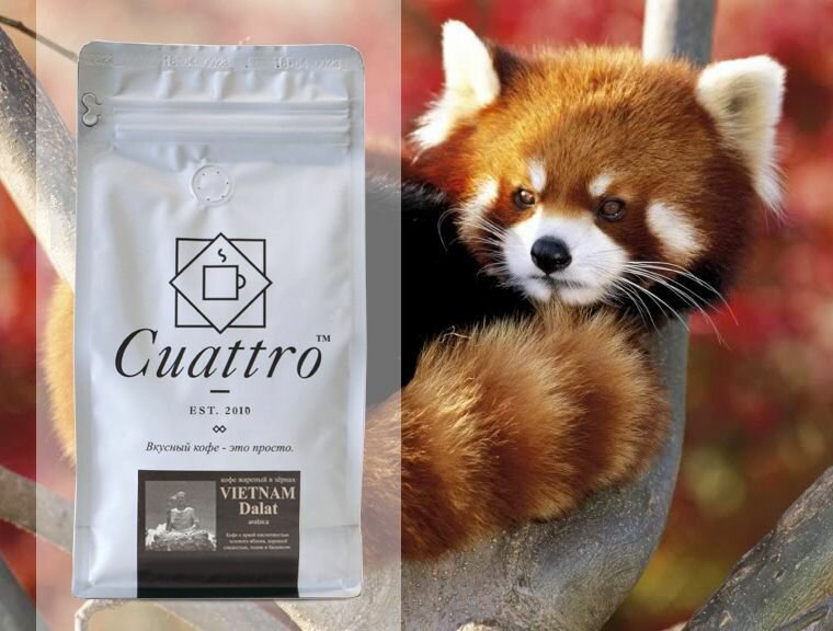 Кофе в зернах CUATTRO Vietnam Arabica Dalat (Вьетнам Арабика Далат) 500 г, арабика