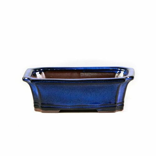Горшок для бонсай Цзу Гэн 16,5x12xH5 синий