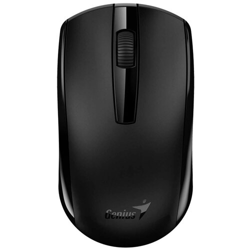 Мышь беспроводная Genius ECO-8100 718400₽