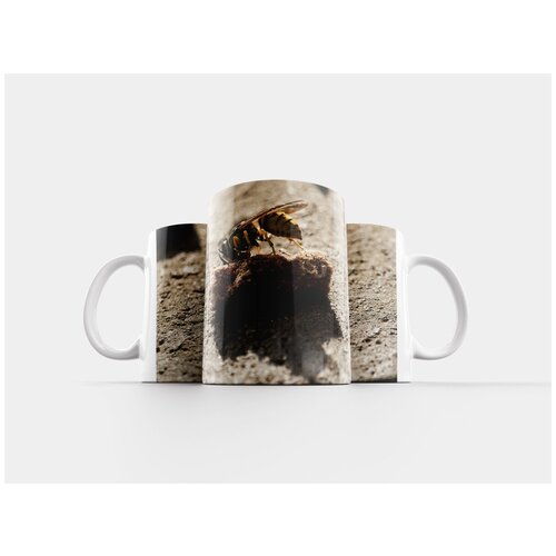 фото Кружка "оса, насекомое, животное" 320 мл lotsprints