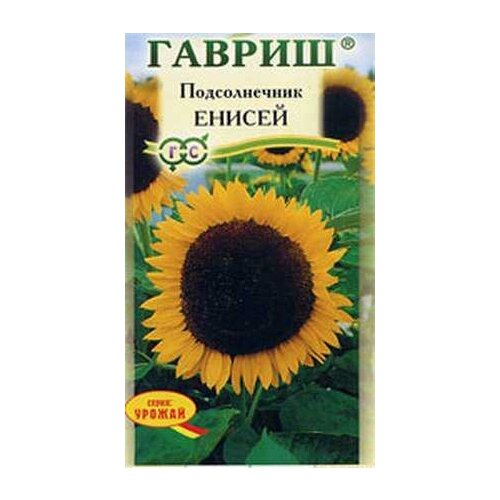 семена редис селеста 10 пакетов по 0 5 г количество товаров в комплекте 10 Семена. Подсолнечник Енисей (10 пакетов по 10 г) (количество товаров в комплекте: 10)