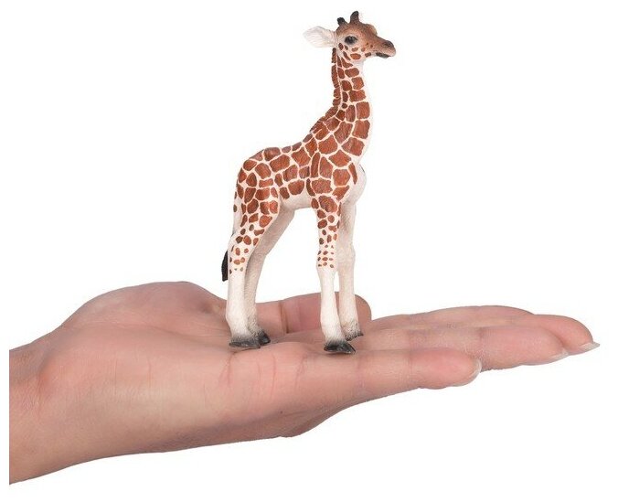 Фигурка Schleich Детеныш жирафа - фото №3