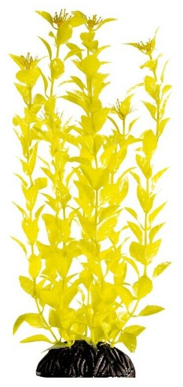 Растение Laguna Людвигия ярко-желтая для акариумов (30 см)