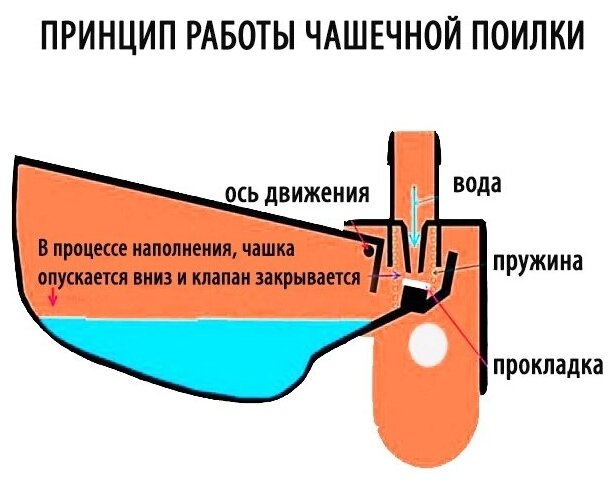 Чашечная поилка НП28 для птиц, для перепелов, для бройлеров, для кур, для цыплят - 10 штук - фотография № 4