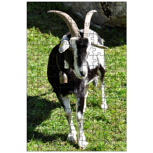 фото Магнитный пазл 27x18см."козел, швейцарец, рога" на холодильник lotsprints
