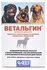 Таблетки АВЗ Ветальгин для собак средних и крупных пород, 20 мл, ...