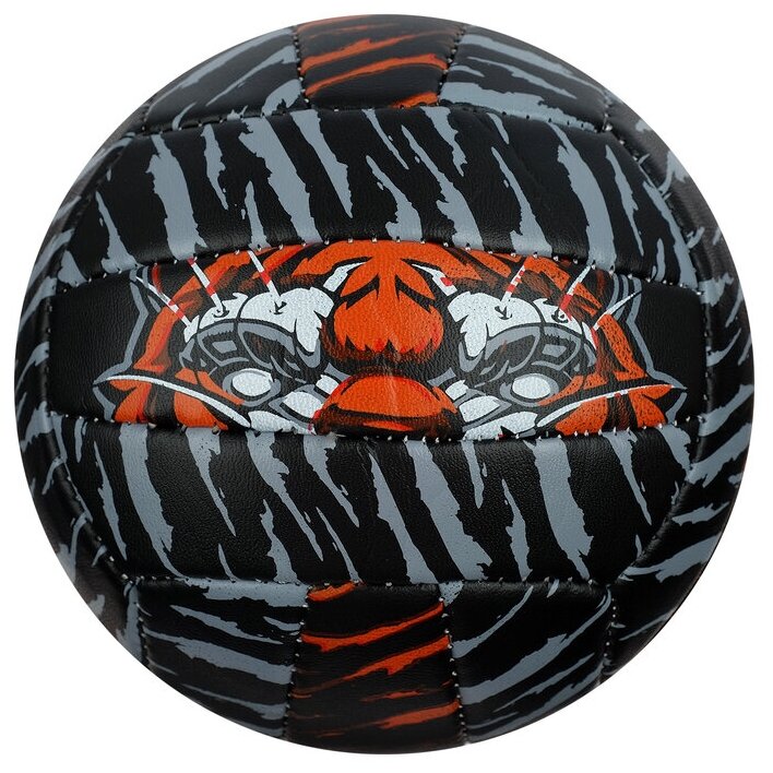 Мяч волейбольный Тигр, размер 2, 150 г, 2 подслоя, 18 панелей, PVC, бутиловая камера