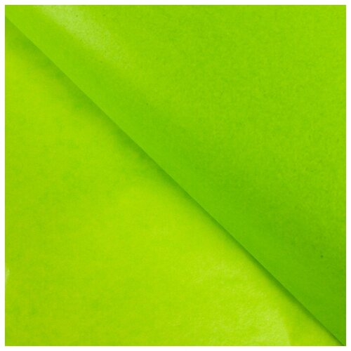 Бумага упаковочная тишью, салатовый, 50 х 66 см./ В упаковке: 10 бумага тишью цвет зелёный набор 30 листов