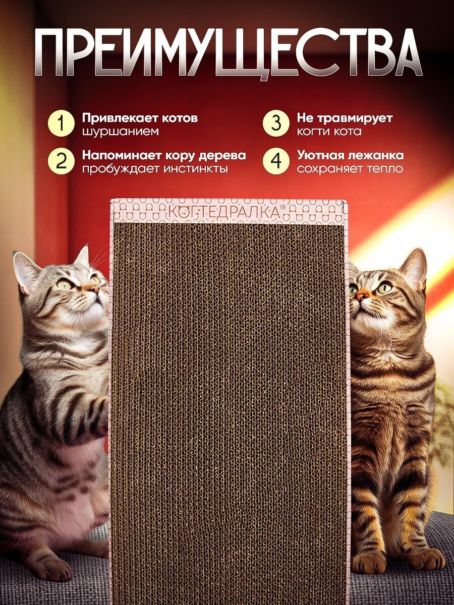 Когтедралка Когтеточка для кошек, лежанка, картонная когтеточка для котов, грызунов в наборе кошачья мята, 24х50 см — фото 1