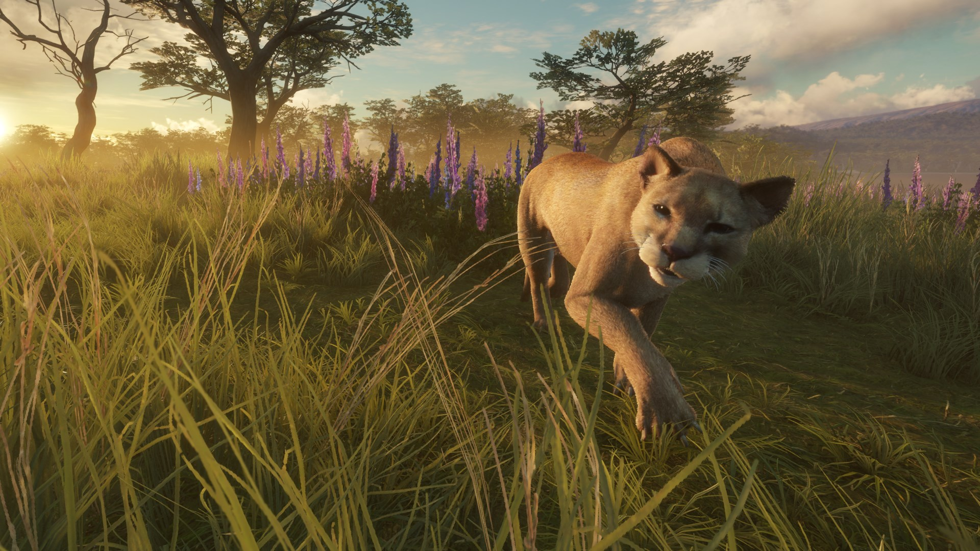 Игра theHunter Call of the Wild + 10 DLC, цифровой ключ для PC, Steam — фото 1