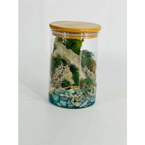 Закрытый флорариум, море