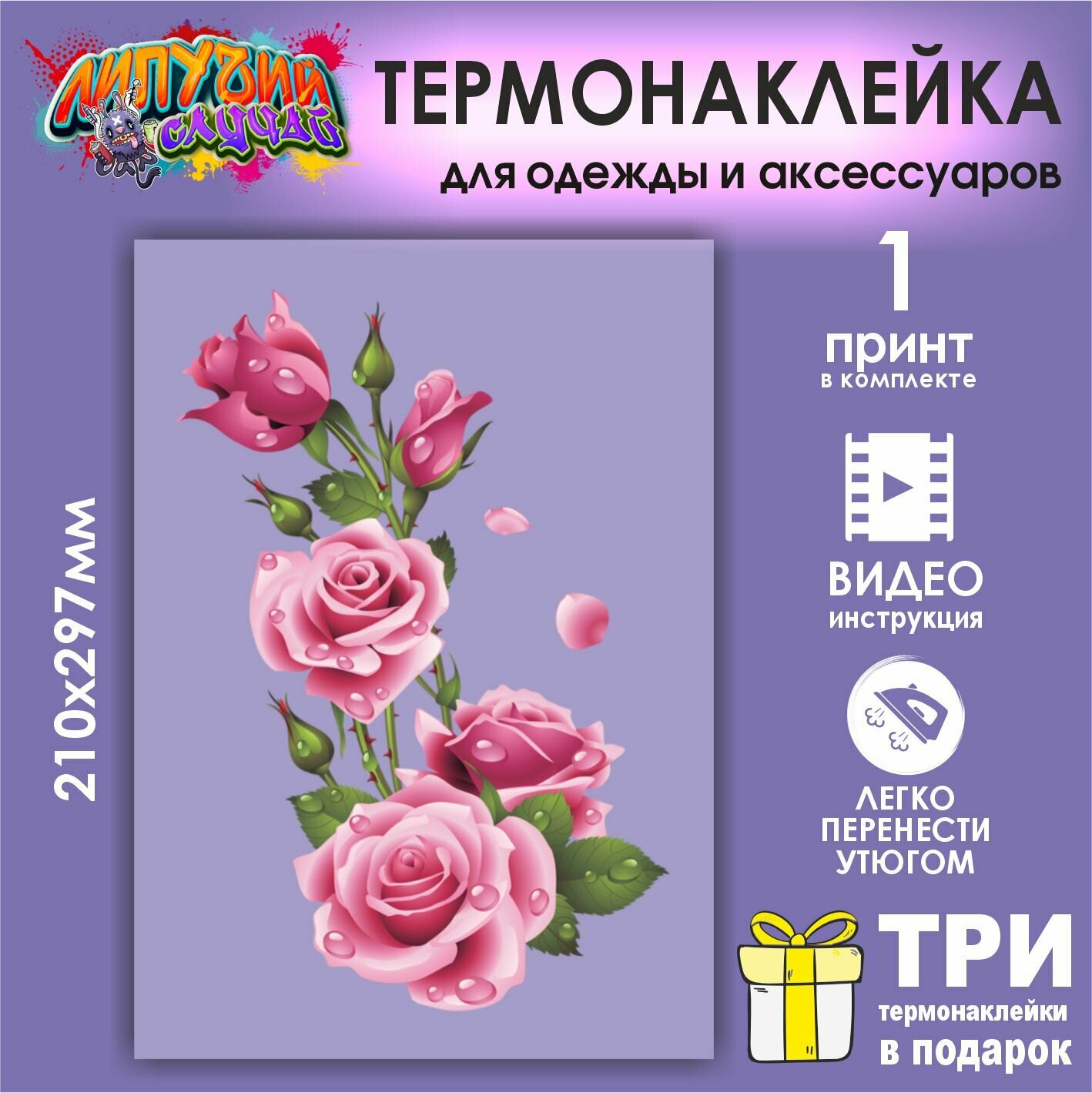 Термонаклейка на одежду Цветы розы