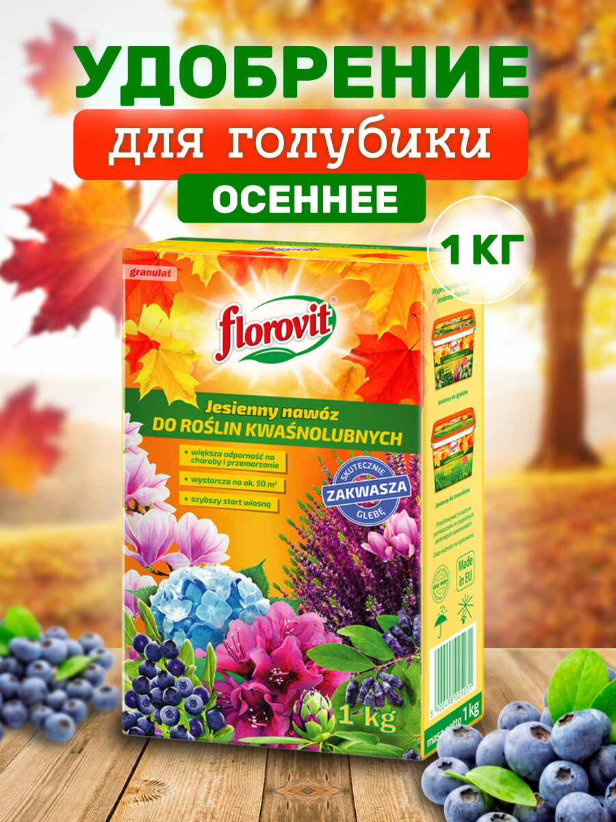 Florovit Осеннее удобрение для голубики 1 кг
