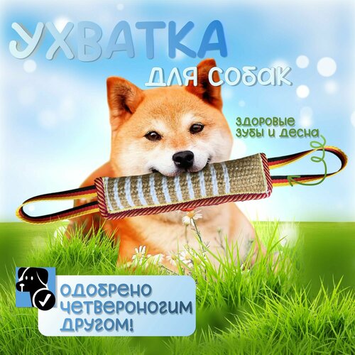 Ухватка, перетяжка, грызак для собак