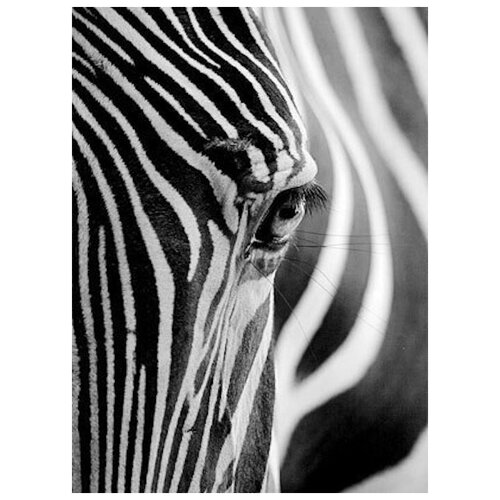 Набор алмазной мозаики "Взгляд зебры", размер 37х50см, 28 цветов