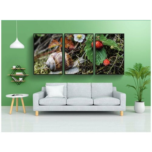 фото Набор модулных постеров для интерьера "улитка, оболочка, ползать" 60x90 см. в тубусе, без рамки lotsprints