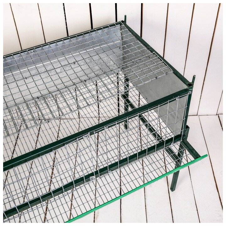 Клетка для грызунов Sima-land 100х55х50 см, металлическая (4245152) - фотография № 3