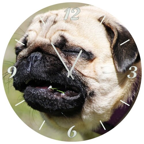 фото Svs настенные часы svs 4001875 пес спящий на ходу